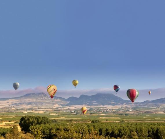 Marques De La Rioja *